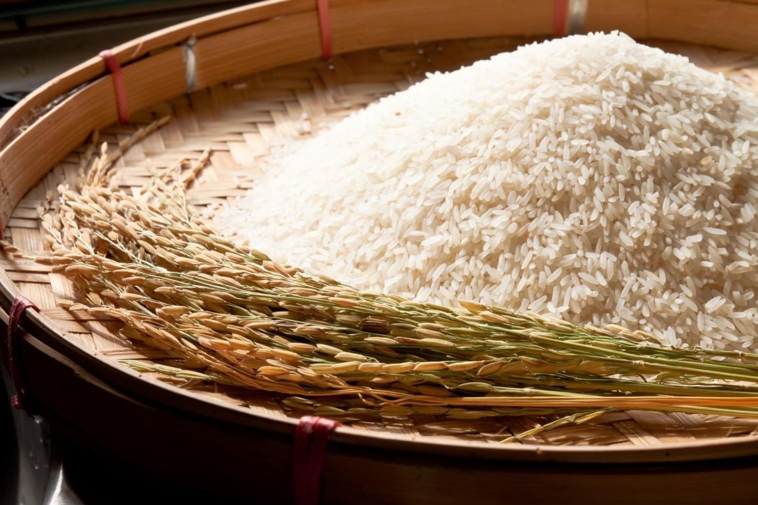 Rice and Millets